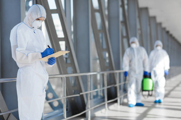 Best HVAC Mold Inspection and Cleaning  in Hamilton, MT