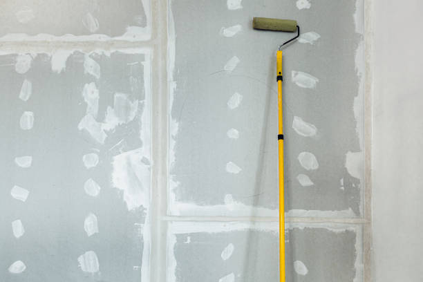 Best Mold Odor Removal Services  in Hamilton, MT