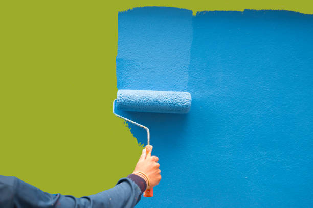 Trusted Hamilton, MT Mold Removal Experts
