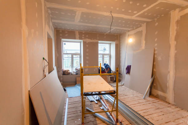 Best Attic Mold Removal  in Hamilton, MT