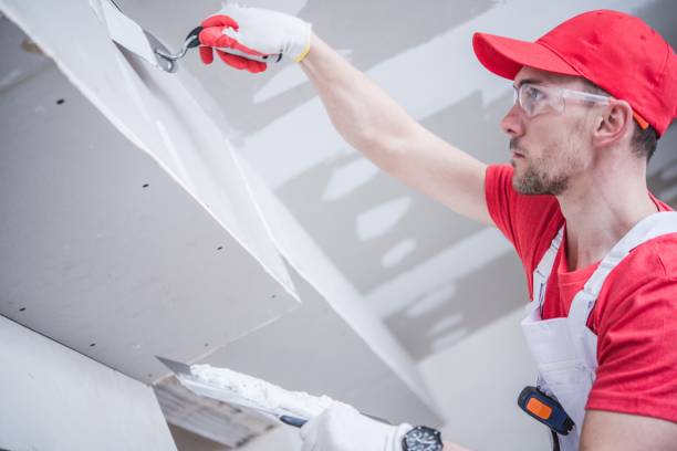 Best Mold Documentation for Insurance Claims  in Hamilton, MT